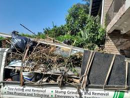 Best Yard Waste Removal  in Spring Arbor, MI