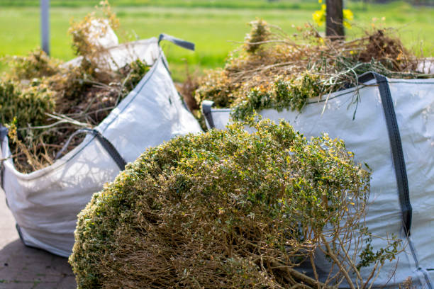 Best Garage Cleanout  in Spring Arbor, MI